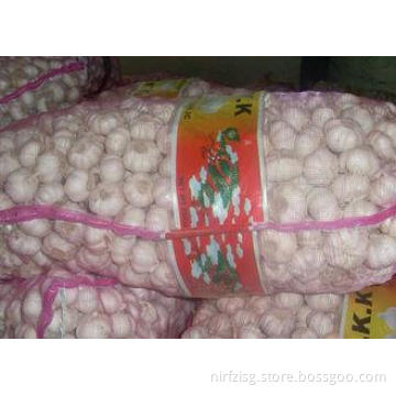 Small Pure White Garlic No Pests , No Rotted 10kg / Mesh Ba